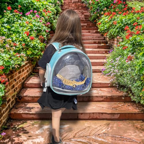Bearded Dragon Travel Backpack with Harness and Leash Set (Green)