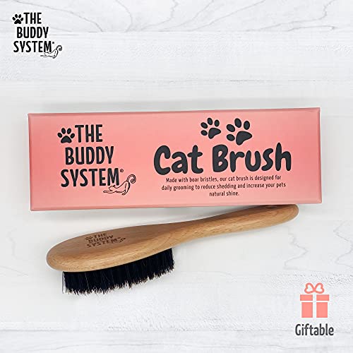 Soft Cat Brush with Boar Bristles (1 Count (Pack of 1))