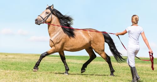Lunge Line for Horses Cotton Horse Lunge Line with Bolt Snap & Rubber Stop (Red White & Blue / 24')