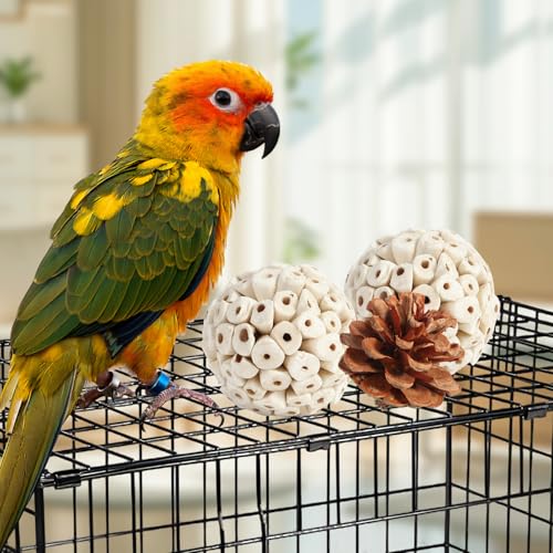Bird Toys Parrot Natural Bird Foraging Box Foot Toys for Parakeets (Large)