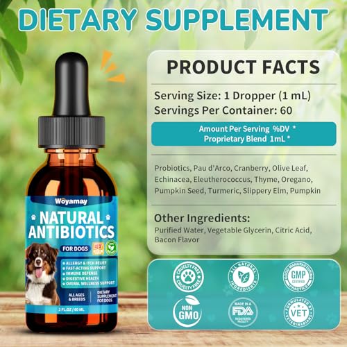 Antibiotics for Dogs (1 Pack)