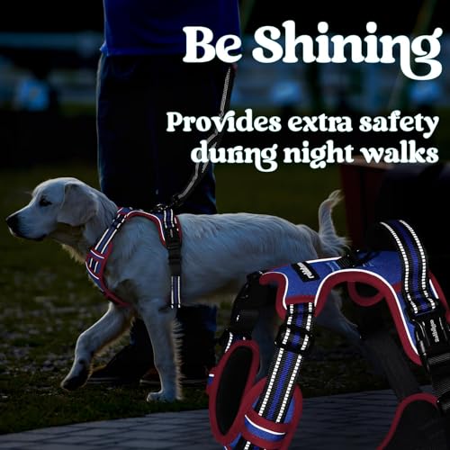 Dog Harness Small Sized (Blue & Red / Small)
