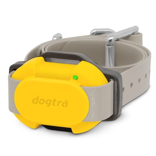 CUE Add On Yellow Ecollar with Safety Level Lock Boost Vibration Waterproof Rechargeable for Small Medium Large Dogs Dog Training Collar by Dogtra (CUE Receiver Only - Yellow)