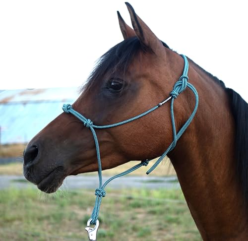 Horse Rope Training Halter (Pink / Large)