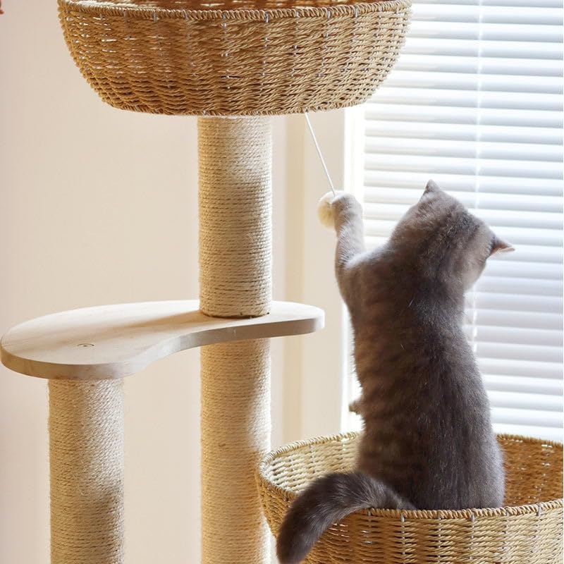 54" Large Modern Cat Trees (Large-Oiled+)