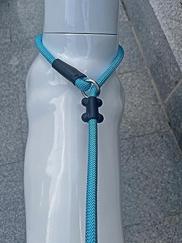 Slip Lead Dog Leash (1/2"×4ft / Blue)