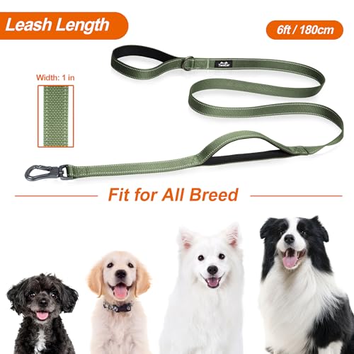 6FT 1IN Heavy Duty Dog Leash for Large Dogs with 2 Padded Handles (Green / 1 in x 6 ft)