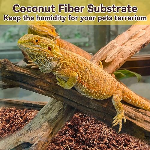 2 Pack Coconut Fiber Substrate (2 Pack)