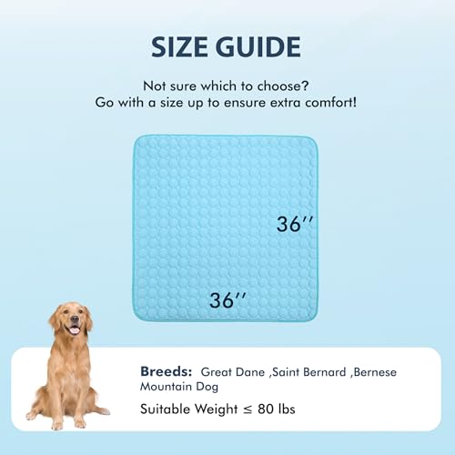 Summer Cooling Mat & Sleeping Pad (36" x 36" / Blue)