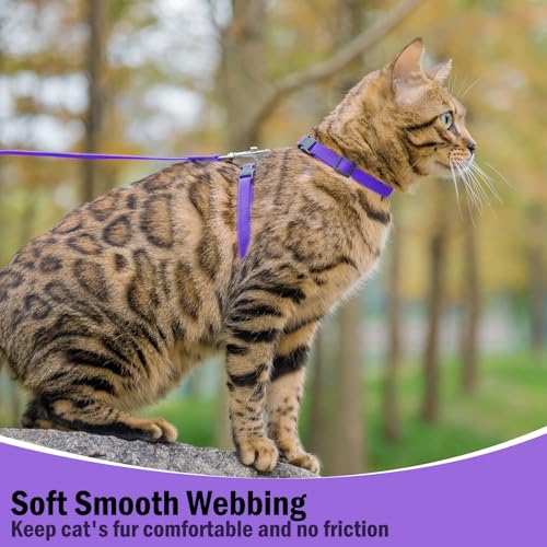Adjustable Cat Harness and Leash Set Escape Proof Kitten Strap Collar for Walking Travel (Medium / Purple)