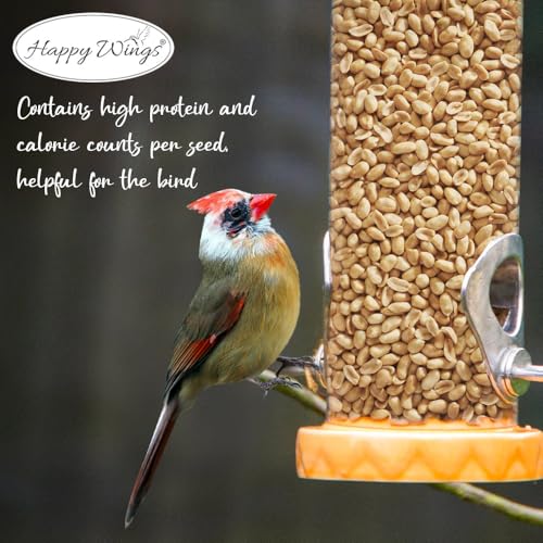 10LB Shelled Peanuts Bird Food (5 Pound (Pack of 2))