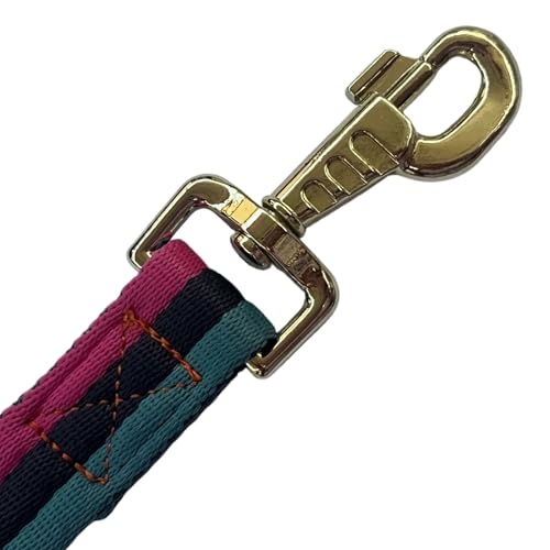Premium Horse Training Lunge Line with Swivel Bolt for Accurate Equestrian Training of 26 Foot (26foot / Green/Black/Rose Red)