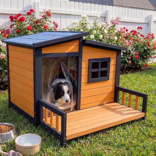 Large Outdoor Dog House W