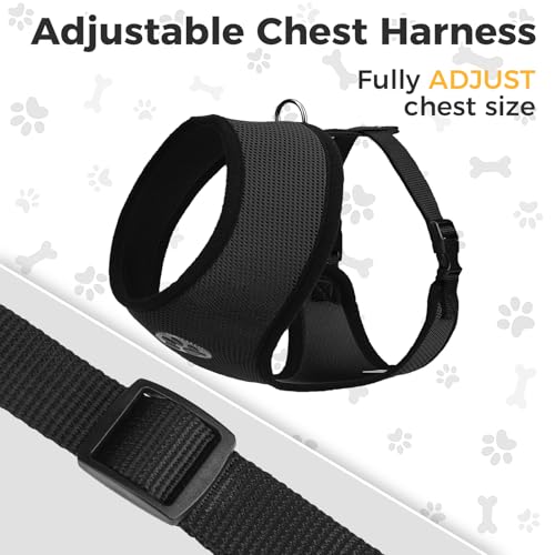 Small Dog Harness (M (NECK: 14", CHEST: 17"-21") / Black)