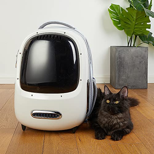 Cat Backpack Carrier for Kitty Small Dog with Inbuilt Fan & Light (White)