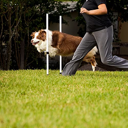 Dog Agility Bar Jumps