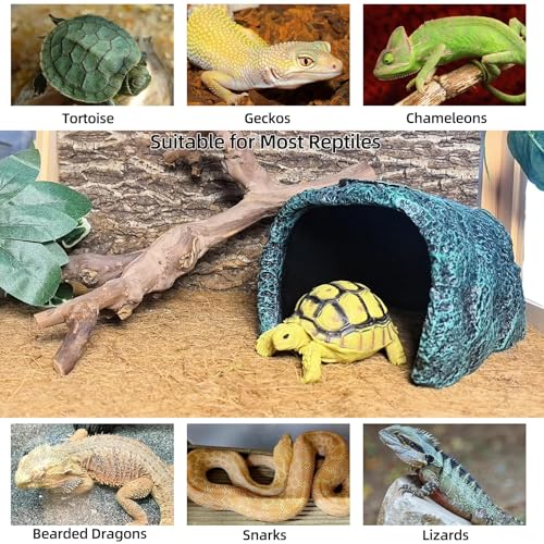 Large Reptile Hideout