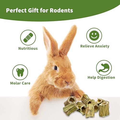 Rabbit Chew Toys
