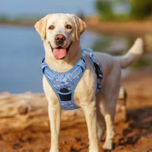 Dog Harness No Pull for Large Dogs with 2 Leash Clips (Medium / Blue Floral)