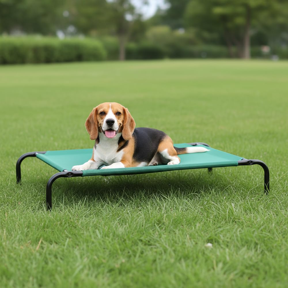 Cooling Breathable Elevated Dog Bed with Metal Frame for Medium Dogs (Green / Medium)