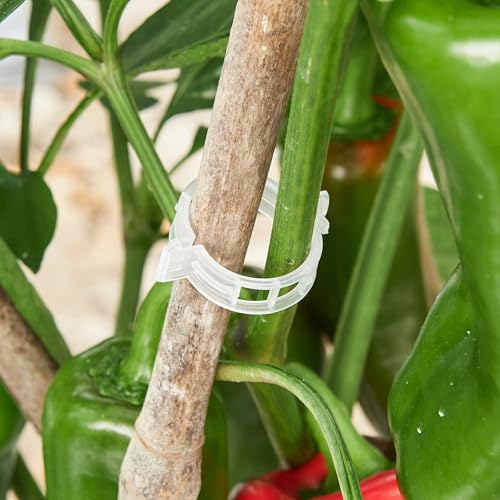 300 Pcs Plant Support Clips (White)