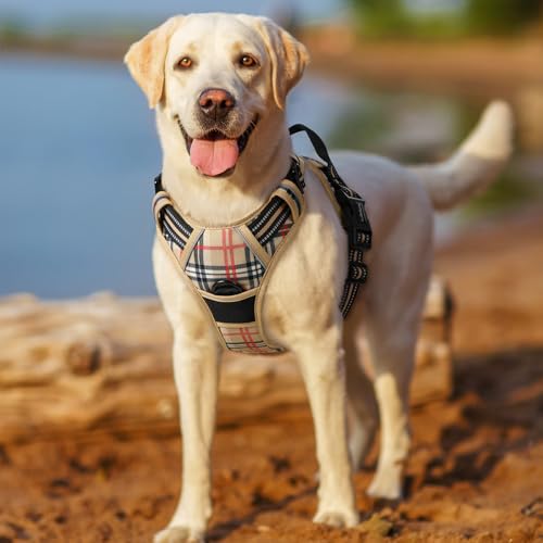 Dog Harness No Pull for Large Dogs with 2 Leash Clips (X-Large / Beige Plaid)