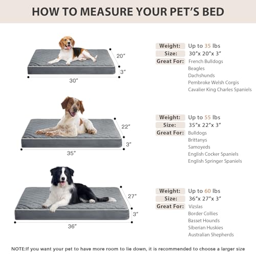 Orthopedic Waterproof Dog Bed Medium for Comfy Sleeping (Grey / 30"L x 20"W x 3"Th)