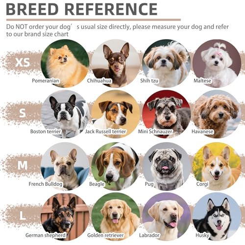 No Pull Dog Harness Medium Sized Step (DeepPink / Medium)