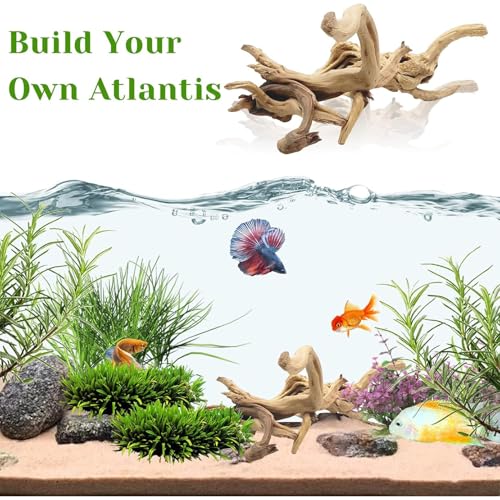 Natural Driftwood for Aquarium (Spiderwood(7-13 inch pack of 2))