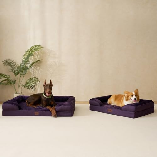 Orthopedic Dog Bed Medium Size Dog (Purple / 30.0"l X 20.0"w X 6.5"th)