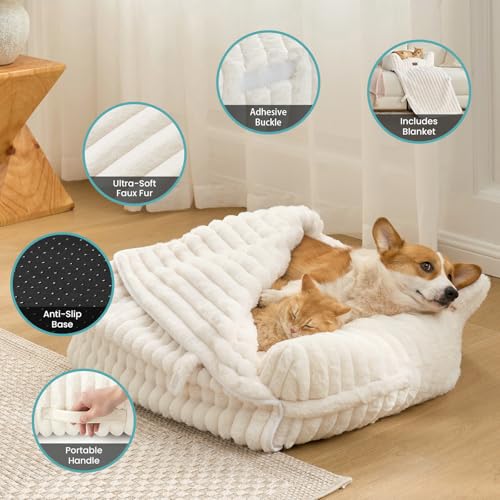 Cute Cat Bed with Removable Cover (Cream / Medium: 32'' x 24'')