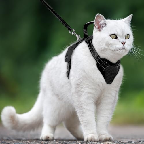 Cat Harness and Leash Set Escape Proof for Kitten Walking (XX-Small / Black)