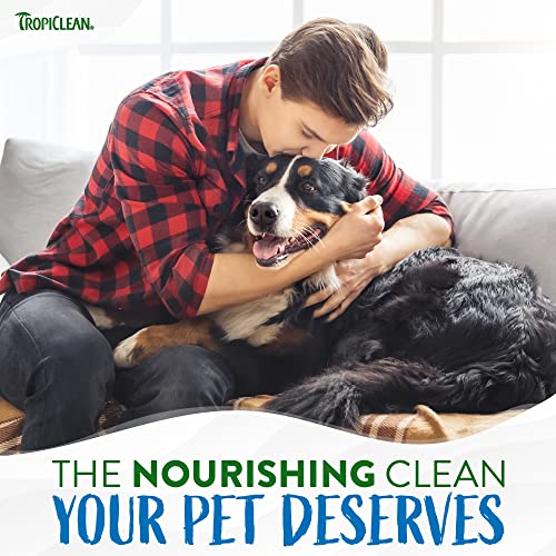 Dog Ear Wipes