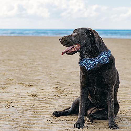 Dog Collar with Bow (Shark / Small (Pack of 1))