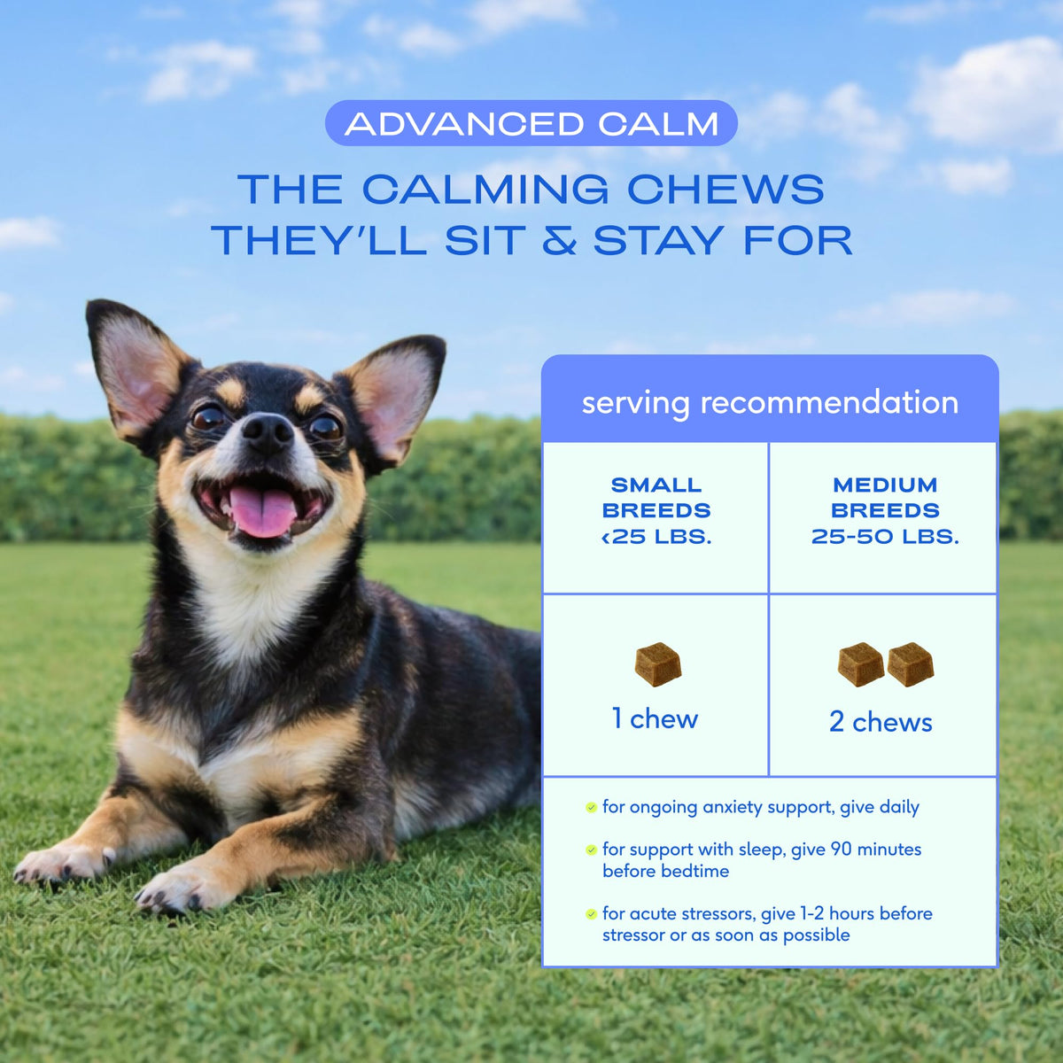 Advanced Calming Chews for Dogs (120 Count)