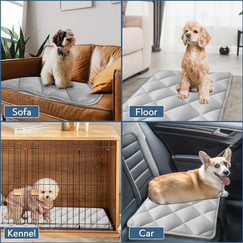 Dog Crate Pad 2 Pack (24 x 18 Inch)