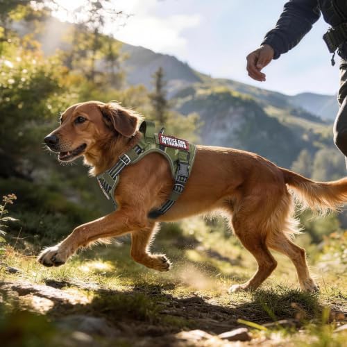 Tactical Dog Harness for Small Dogs (S(Chest:16.1"-31.5",Neck:15.4"-21.6",Back:7.1") / Green Camo)