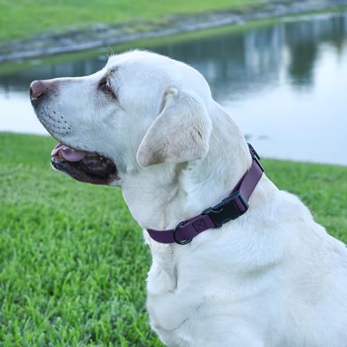 Biothane Waterproof Dog Collar with Quick Release Buckle Strong Coated Nylon Webbing with Odor (1"W by 15-25"L / Violet Purple)