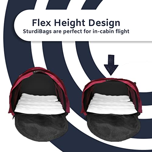 SturdiBag XL Pet Travel Carrier (20.0"L x 12.0"W x 16.0"H / Blue Jay)