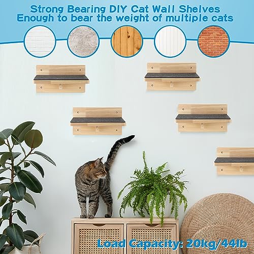 6 Set Cat Wall Shelves (Classic)