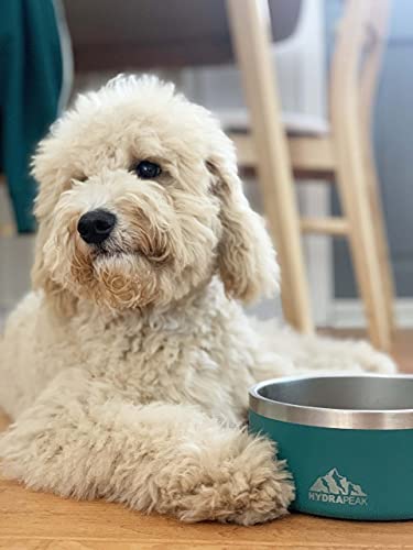 Dog Bowl, Non-Slip Stainless Steel Water and Food Dish, 4 Cup (White) (White / 4 Cup)