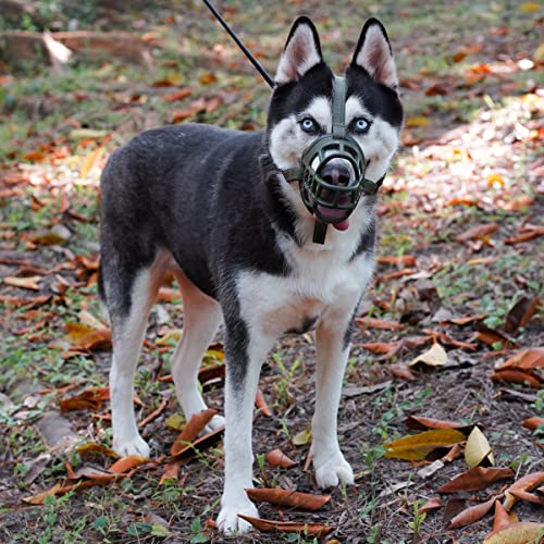 Soft Basket Silicone Muzzle for Small Dog to Prevent Biting (Green / 1 (Snout: 6"-7.5"))