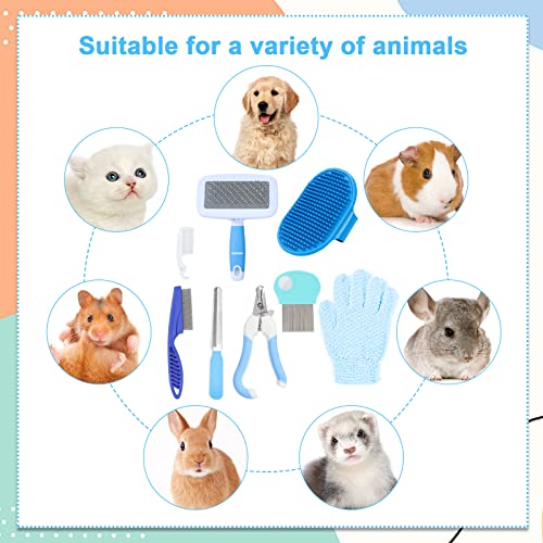 Small Animal Grooming Set (Blue)