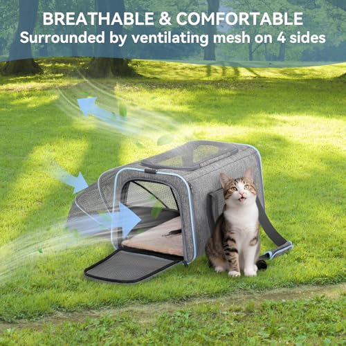 Small Expandable Cat Carrier for Air Travel (16.0"L x 10.0"W x 9.0"H / Light Gray)
