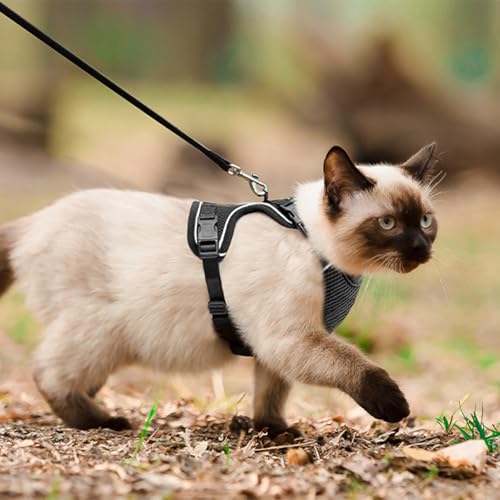 Cat Harness and Leash Set (Black / Medium)