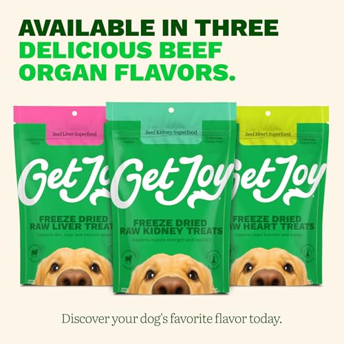 Freeze Dried 100% Beef Kidney Dog Treats (1 Pound (Pack of 1))