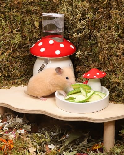 Hamster Snack & Treats Toy