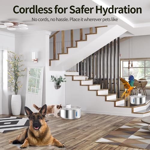 Wireless Dog Water Fountain
