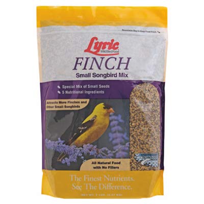 Small Songbird (5 Pound (Pack of 1))