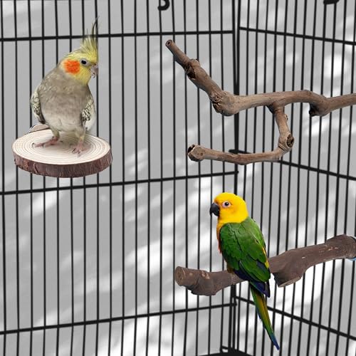 5PCS Bird Perch Natural Wood Grape Stick Stand Chewing Exercise Branches